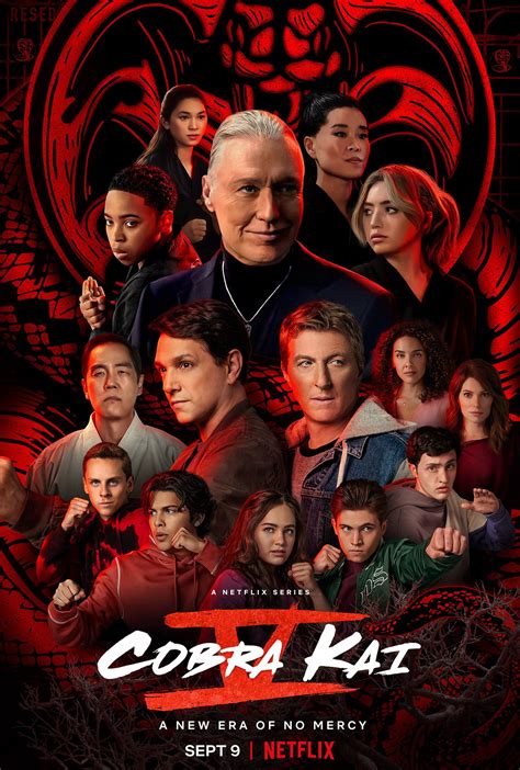 cobra kai extratorrent|Cobra Kai .